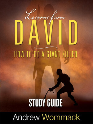 cover image of Lessons From David Study Guide